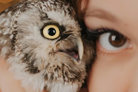 Kasyno Welcome Bingo Wsparcie